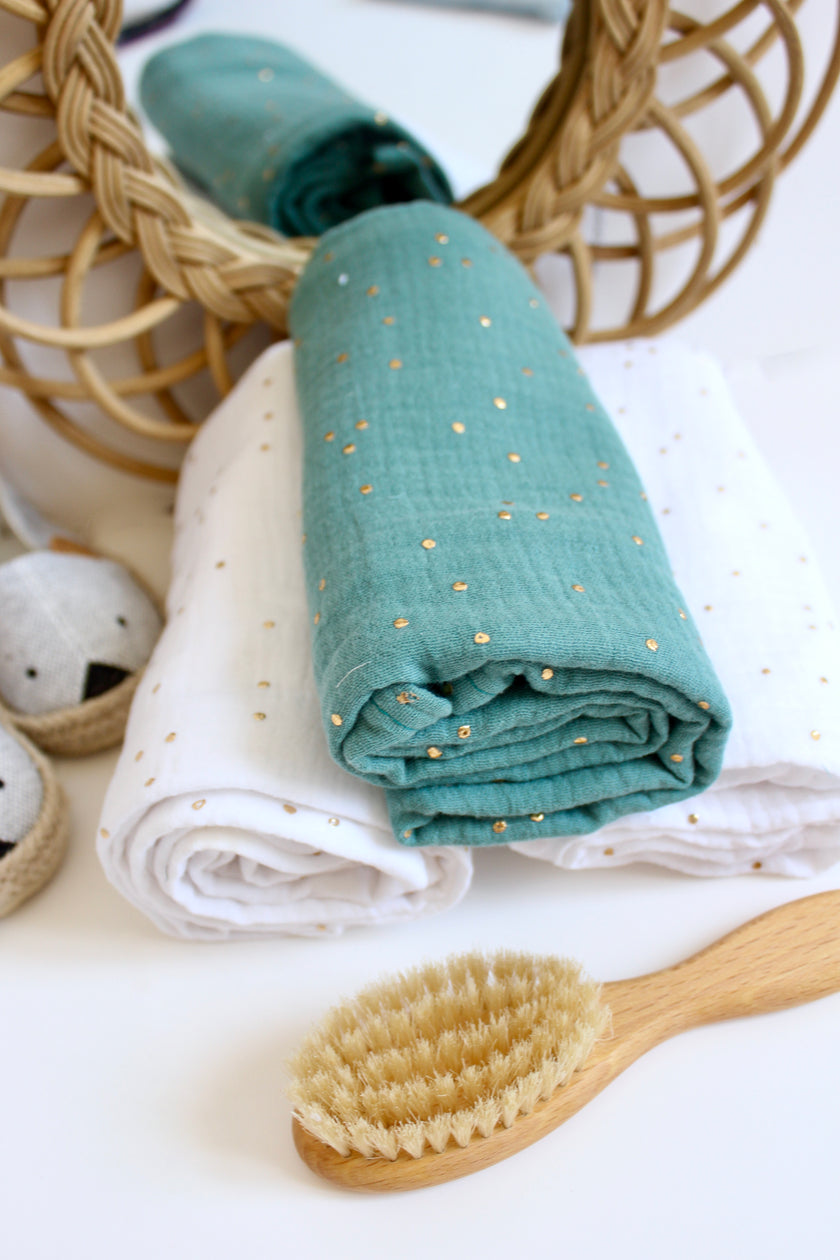 Eucalyptus pois dorés