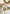 Tipis pare pipi lot de 6 tissu Jules