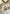 Tipis pare pipi lot de 6 tissu Jules