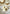 Tipis pare pipi lot de 6 tissu Jules
