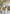 Tipis pare pipi lot de 6 tissu Jules