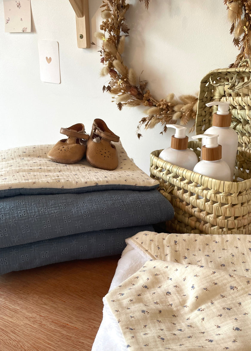 Couverture Louis & Adèle bleu